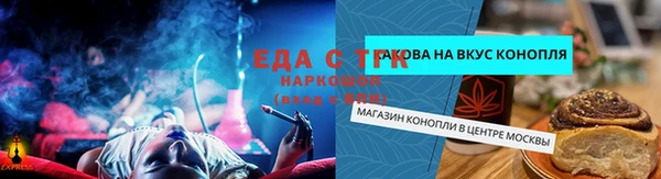 индика Алзамай