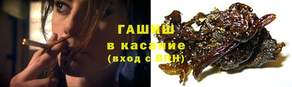 индика Алзамай