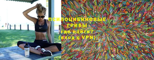 индика Алзамай