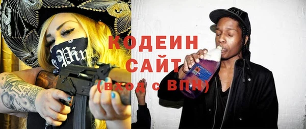 индика Алзамай