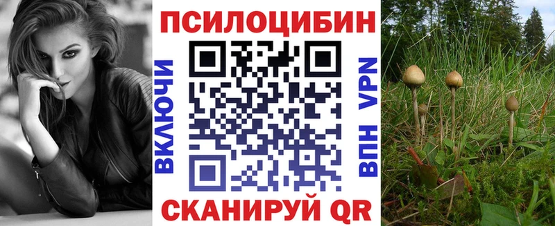 darknet Telegram  Кирс  Галлюциногенные грибы Cubensis 
